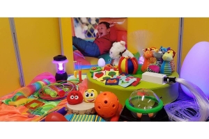 Why are Sensory Toys Important