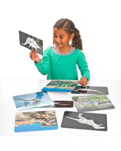 Discover Dinosaurs Picture Cards and X-rays. 12 beautiful picture cards and matching x-rays!  R59240